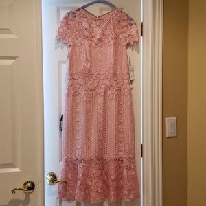 Tadashi Shoji NWT Floral Lace Pink Dress